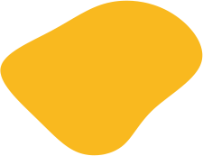 shape 04